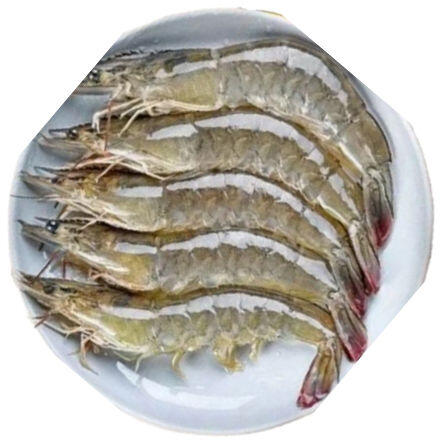 SHRIMP