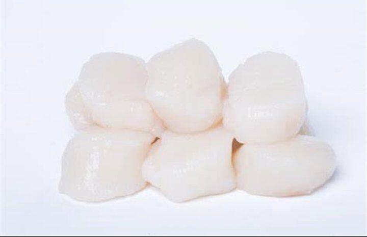 SCALLOPS