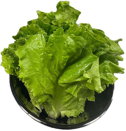 LETTUCE WRAPS