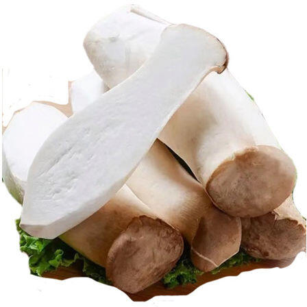KING OYSTER MUSHROOMS