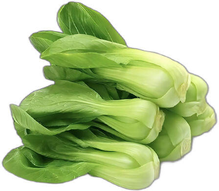 BOK CHOY