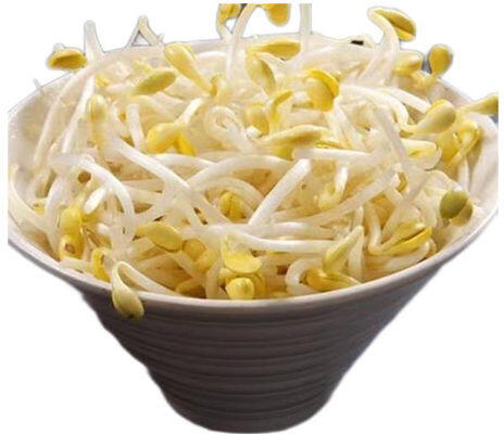 MUNG BEAN SPROUTS