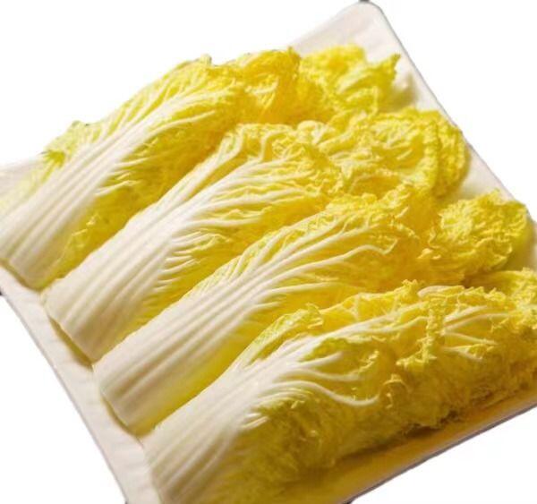 NAPA CABBAGE